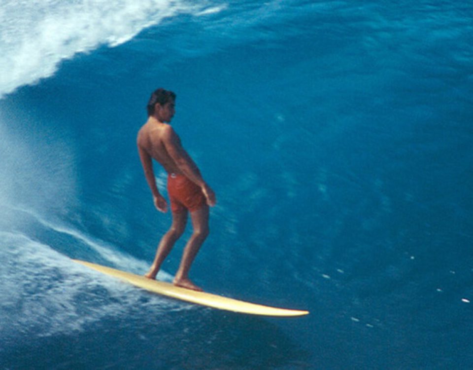 surf-films-navidades